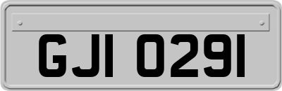GJI0291