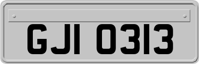GJI0313