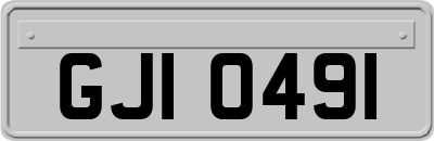 GJI0491