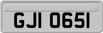 GJI0651