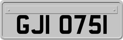 GJI0751
