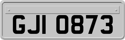 GJI0873