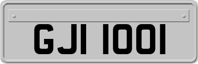 GJI1001