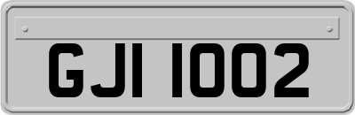 GJI1002