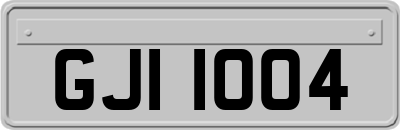 GJI1004