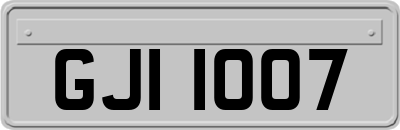 GJI1007