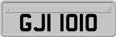 GJI1010