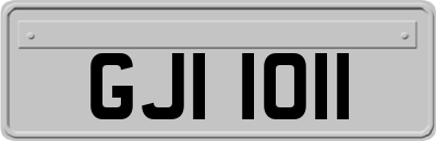 GJI1011