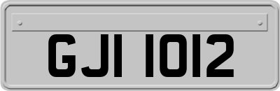 GJI1012