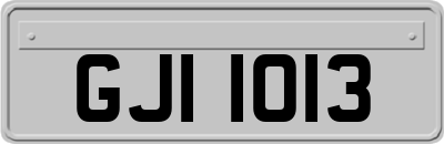GJI1013