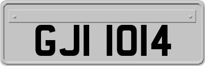 GJI1014