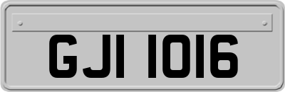 GJI1016