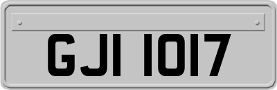GJI1017