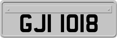 GJI1018