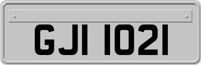 GJI1021