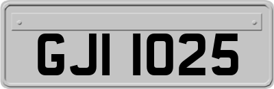 GJI1025