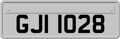 GJI1028