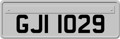 GJI1029