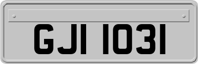 GJI1031