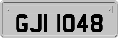 GJI1048