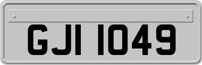 GJI1049