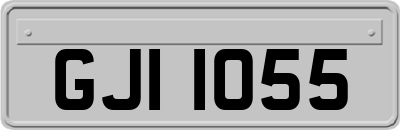 GJI1055