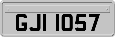GJI1057