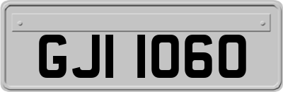 GJI1060