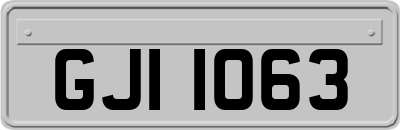 GJI1063