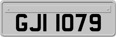 GJI1079
