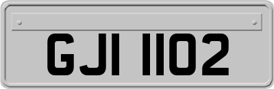 GJI1102