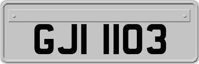 GJI1103