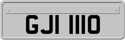 GJI1110