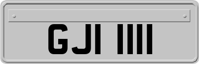 GJI1111