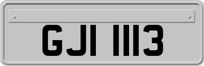 GJI1113