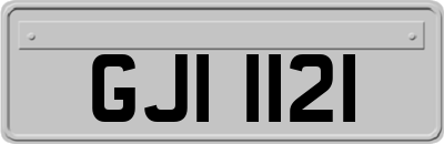 GJI1121