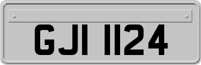 GJI1124