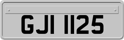 GJI1125