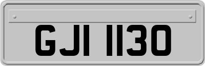 GJI1130