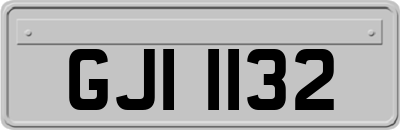 GJI1132
