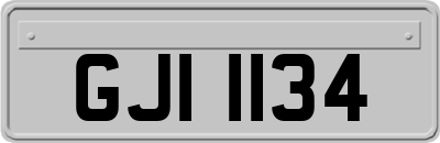 GJI1134