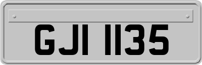 GJI1135