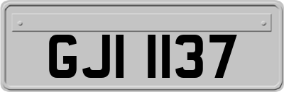 GJI1137