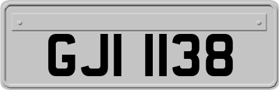 GJI1138
