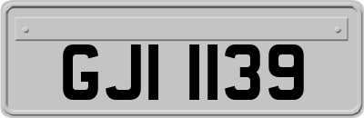 GJI1139