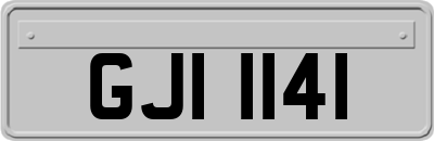 GJI1141
