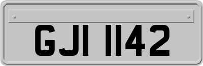 GJI1142