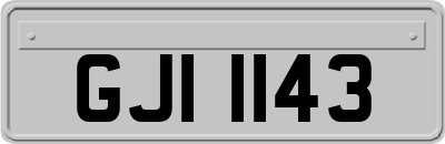 GJI1143