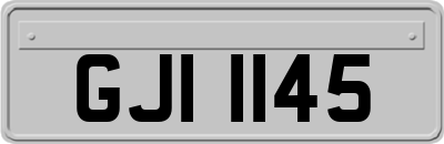 GJI1145