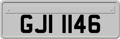 GJI1146